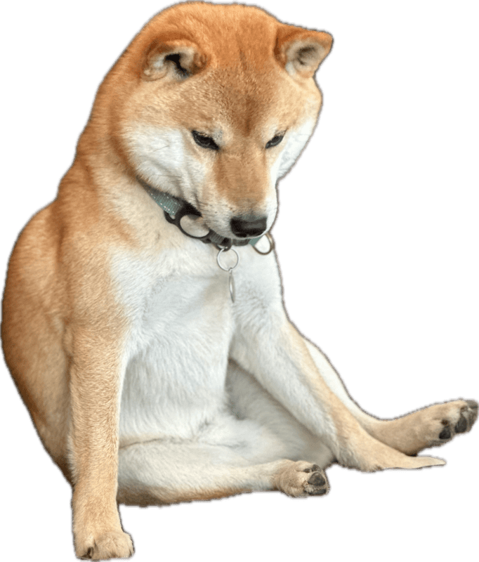 Zuki, Zukidens maskot, hänger över skylten